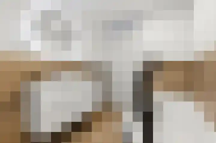Dokter Van Ledestraat 28 Leidschendam thumbnail 48