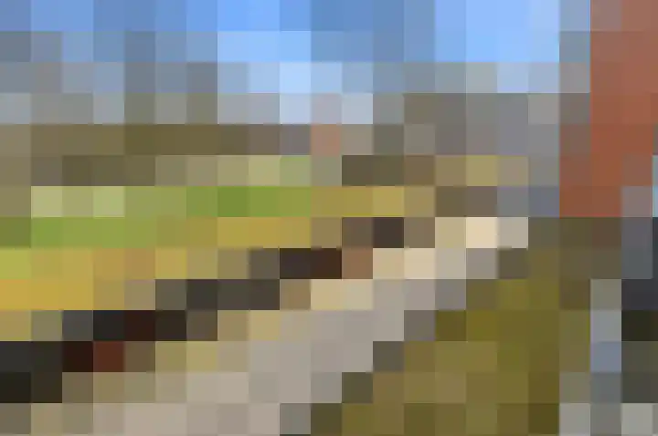 Dokter Van Ledestraat 28 Leidschendam thumbnail 49