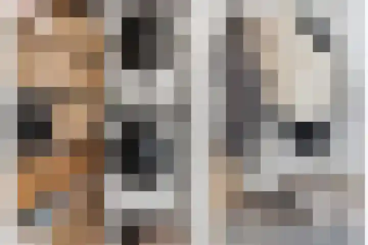 Dokter Van Ledestraat 28 Leidschendam thumbnail 53