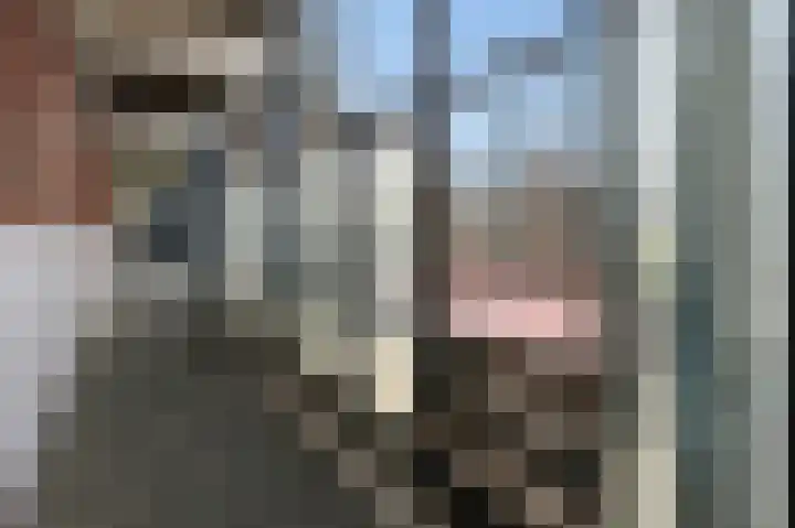 Dokter Van Ledestraat 28 Leidschendam thumbnail 56