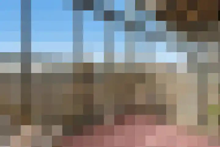 Dokter Van Ledestraat 28 Leidschendam thumbnail 59