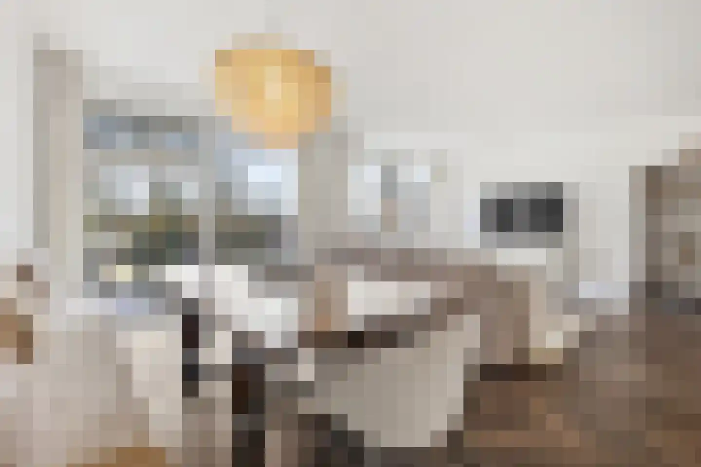 Dokter Van Ledestraat 28 Leidschendam thumbnail 66