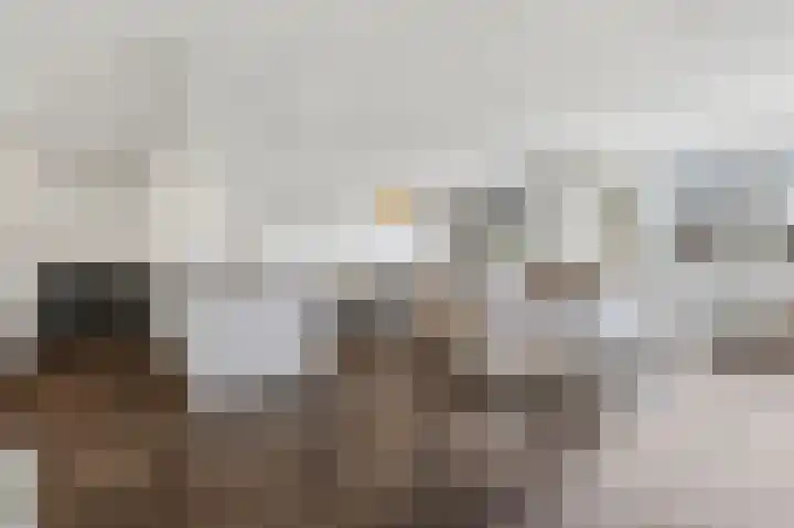 Dokter Van Ledestraat 28 Leidschendam thumbnail 8