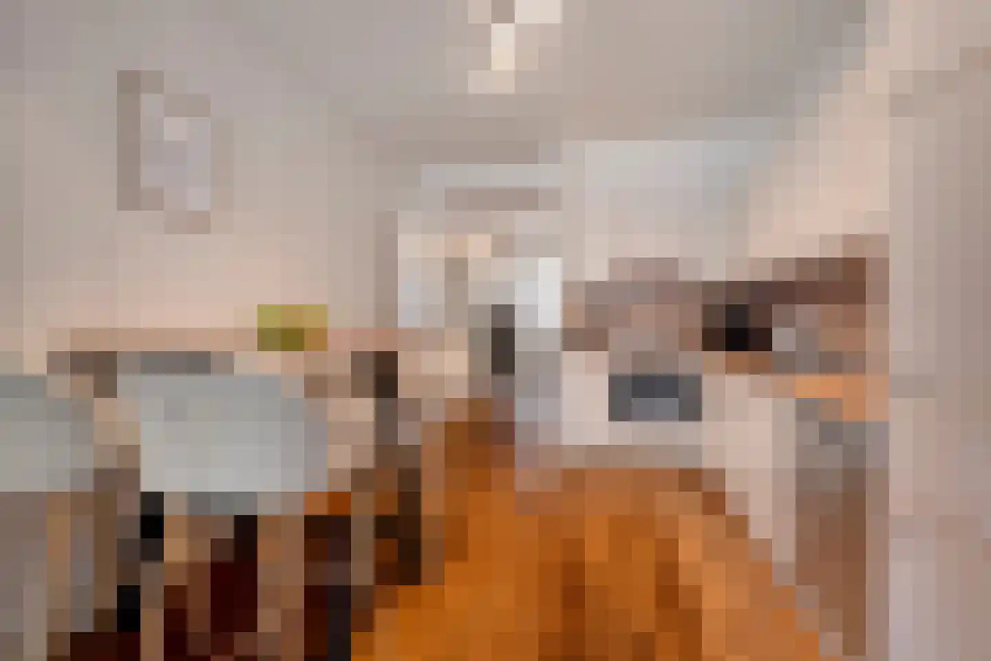 Dokter Van Ledestraat 4 Leidschendam thumbnail 10