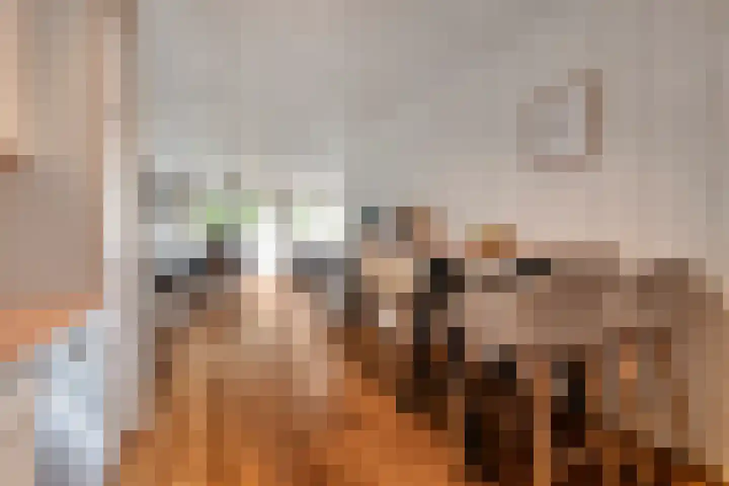 Dokter Van Ledestraat 4 Leidschendam thumbnail 12