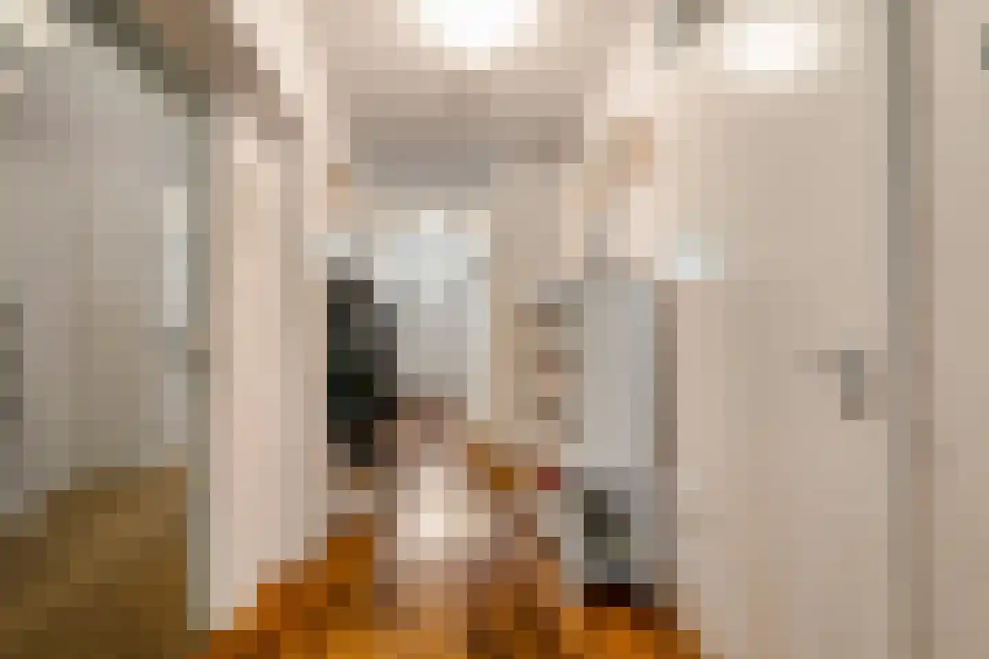 Dokter Van Ledestraat 4 Leidschendam thumbnail 13