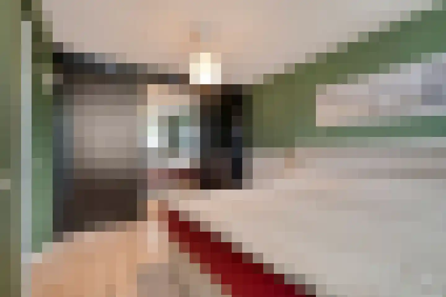 Dokter Van Ledestraat 4 Leidschendam thumbnail 15