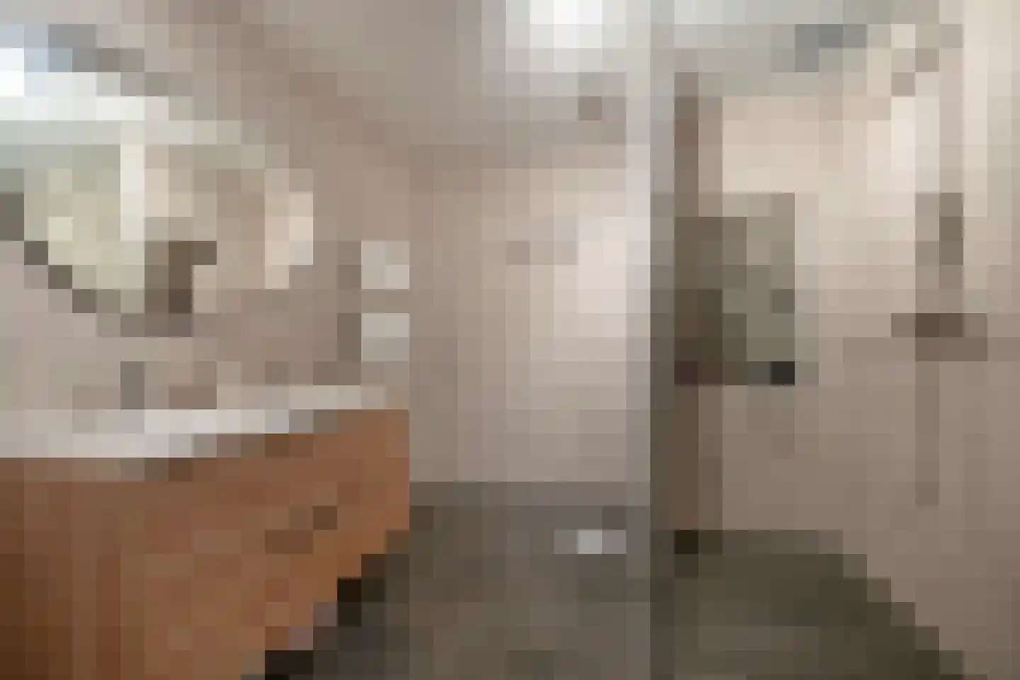 Dokter Van Ledestraat 4 Leidschendam thumbnail 17