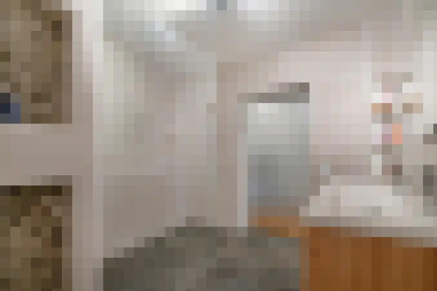 Dokter Van Ledestraat 4 Leidschendam thumbnail 18