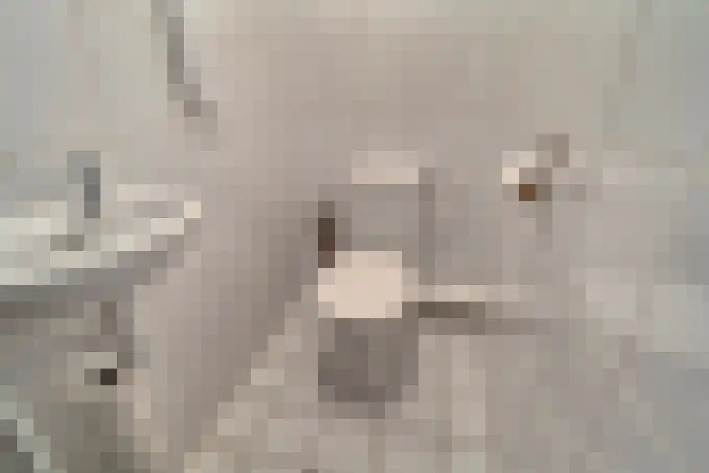 Dokter Van Ledestraat 4 Leidschendam thumbnail 20