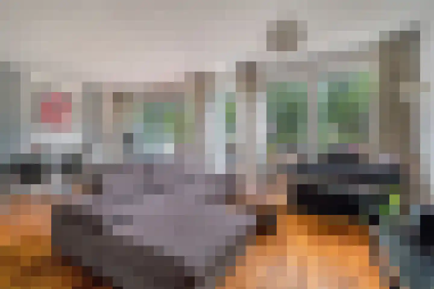 Dokter Van Ledestraat 4 Leidschendam thumbnail 5