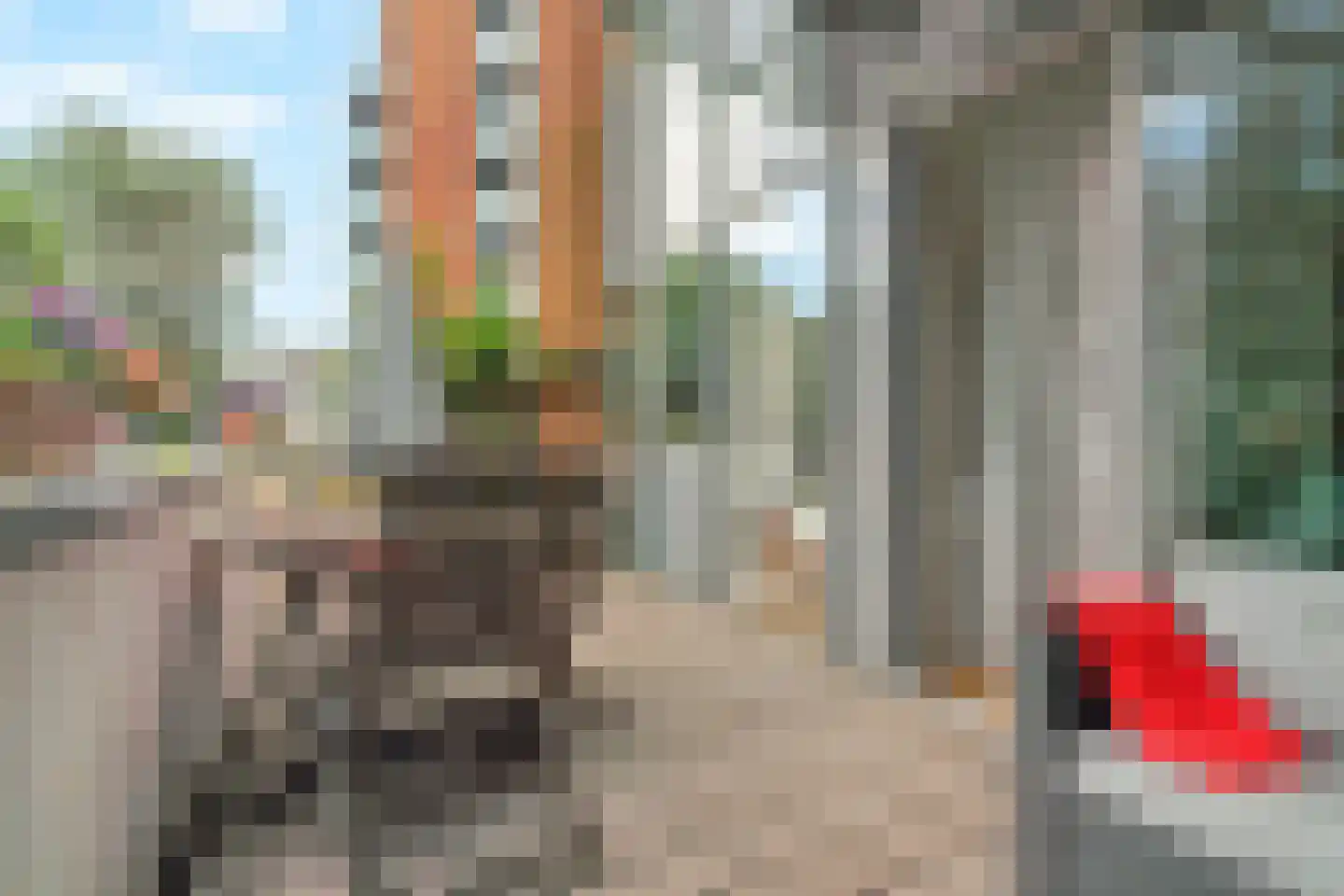 Dokter Van Ledestraat 4 Leidschendam thumbnail 6