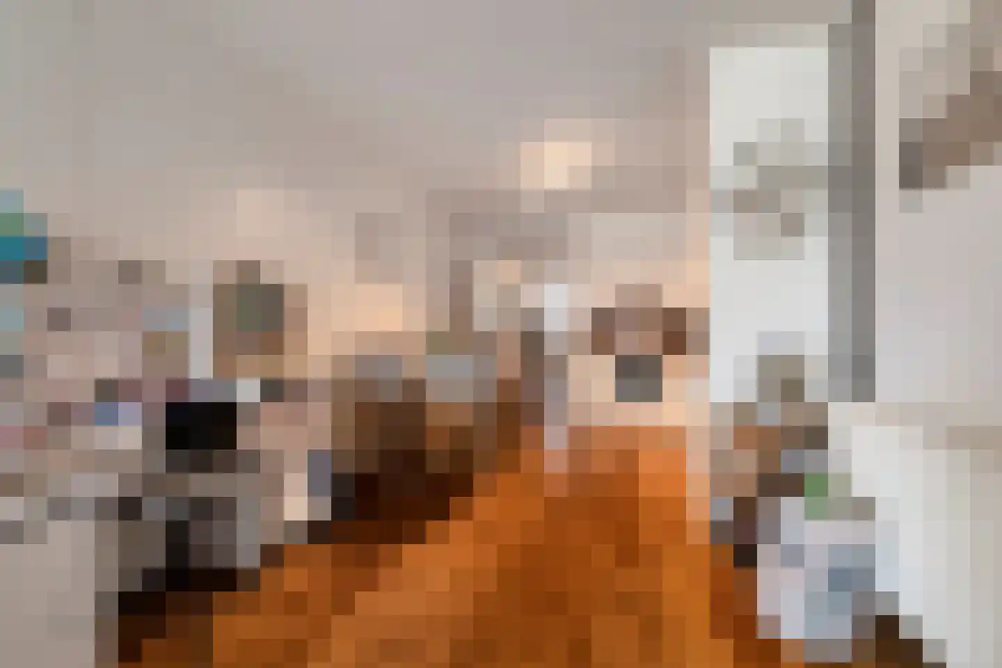 Dokter Van Ledestraat 4 Leidschendam thumbnail 9