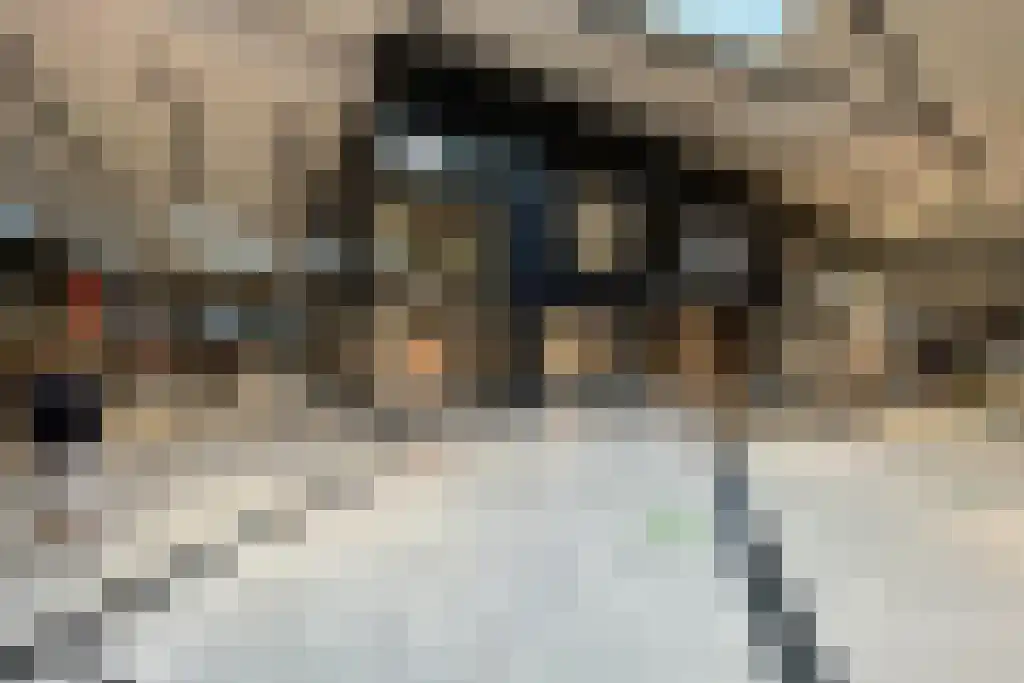 Dokter Van Ledestraat 44 Leidschendam thumbnail 33