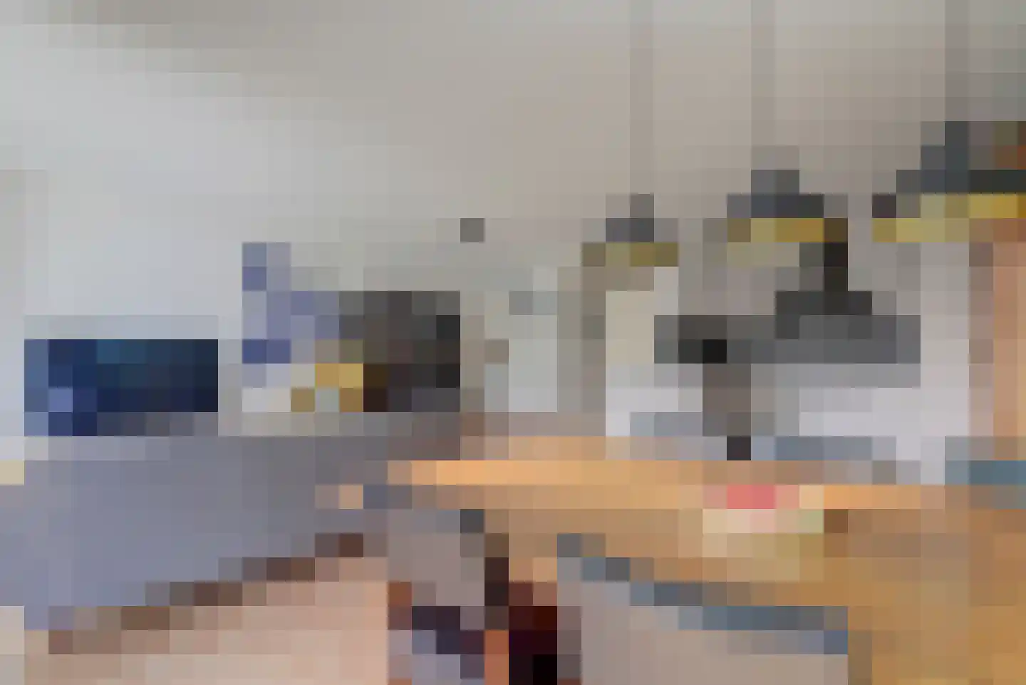 Dokter Van Ledestraat 45 Leidschendam thumbnail 22