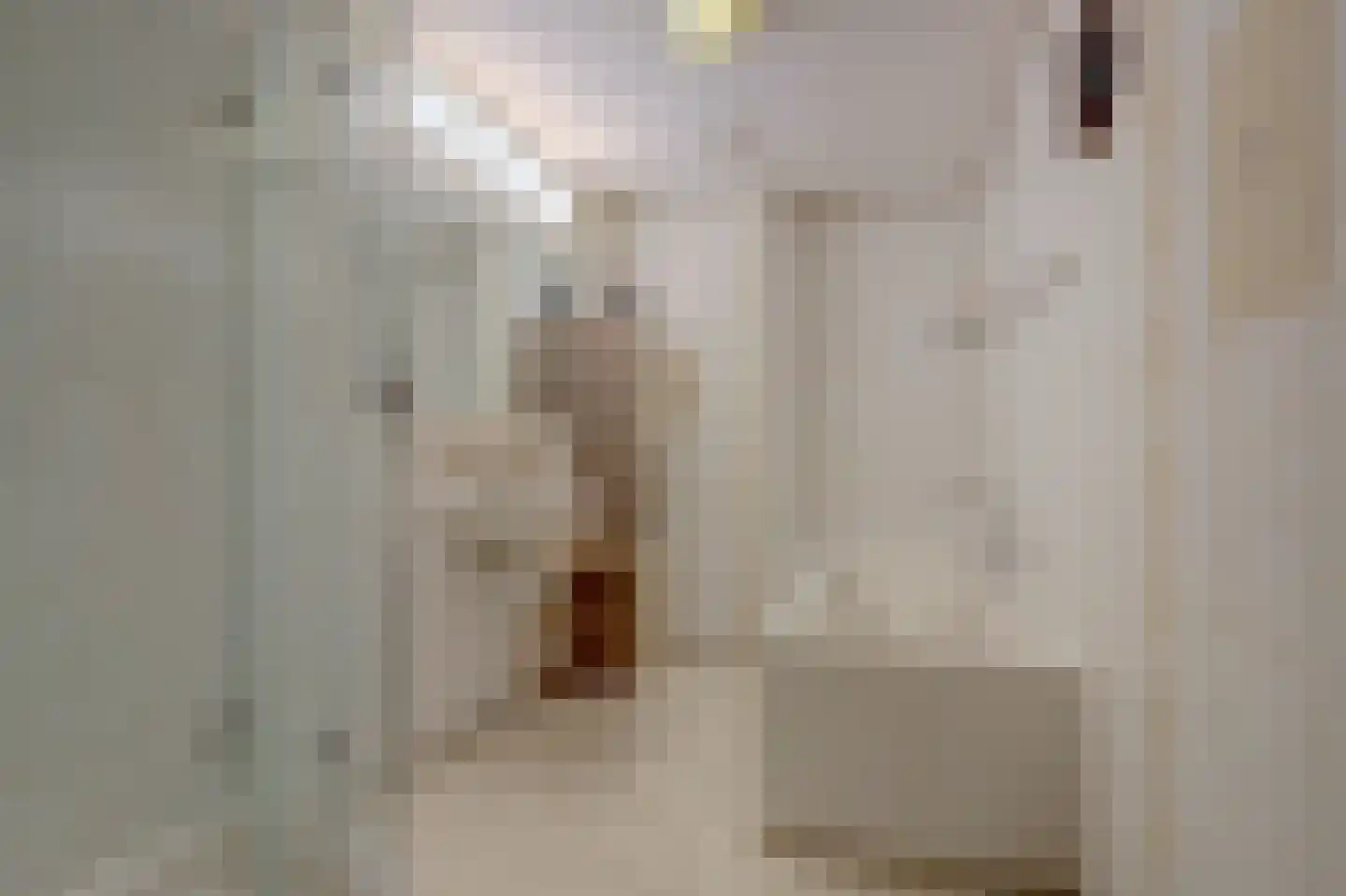 Dokter Van Ledestraat 45 Leidschendam thumbnail 33