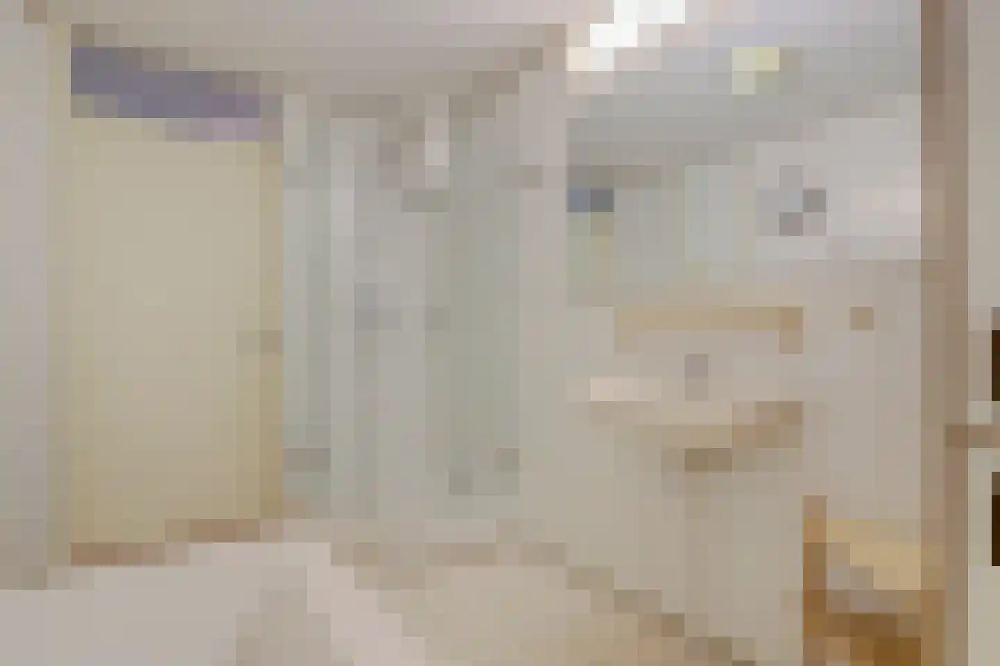 Dokter Van Ledestraat 45 Leidschendam thumbnail 36
