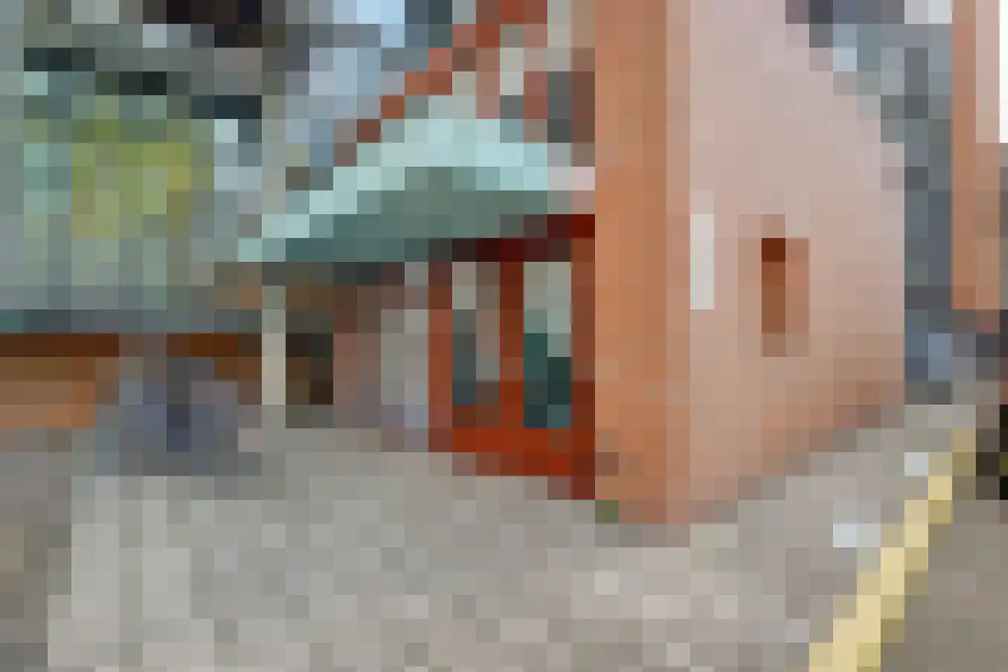 Dokter Van Ledestraat 45 Leidschendam thumbnail 7
