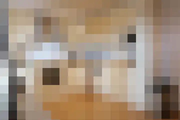 Dokter Van Ledestraat 50 Leidschendam thumbnail 10