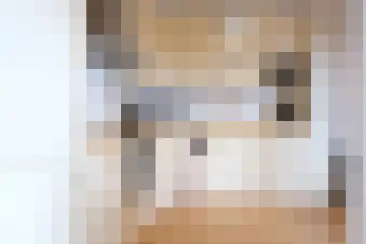 Dokter Van Ledestraat 50 Leidschendam thumbnail 12