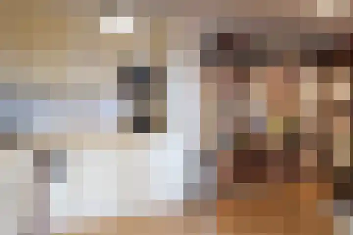 Dokter Van Ledestraat 50 Leidschendam thumbnail 13