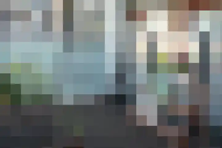 Dokter Van Ledestraat 50 Leidschendam thumbnail 42