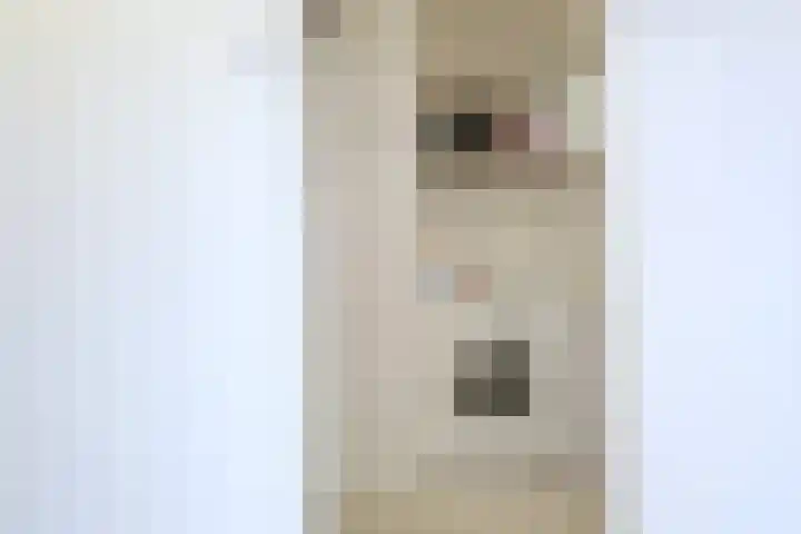 Dokter Van Ledestraat 50 Leidschendam thumbnail 46