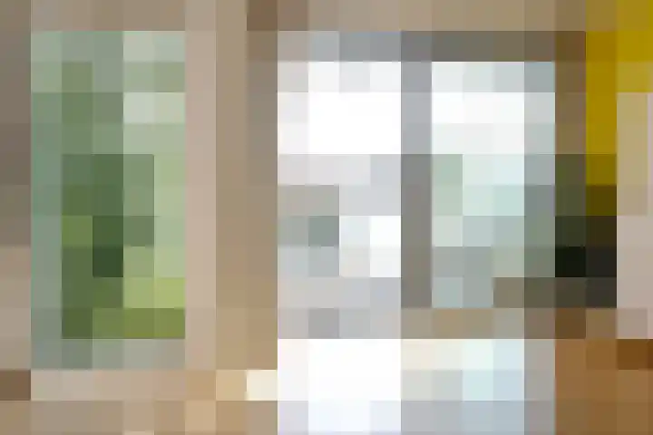 Dokter Van Ledestraat 50 Leidschendam thumbnail 5