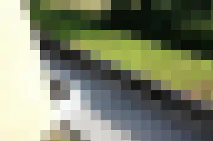 Dokter Van Ledestraat 50 Leidschendam thumbnail 50