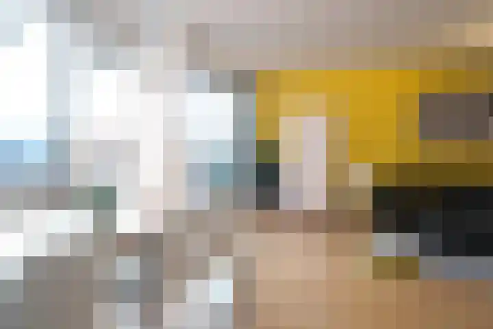 Dokter Van Ledestraat 50 Leidschendam thumbnail 6