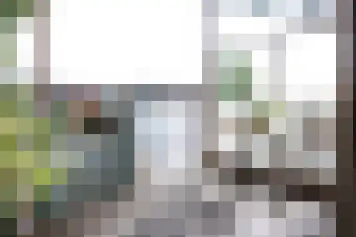 Dokter Van Ledestraat 50 Leidschendam thumbnail 7