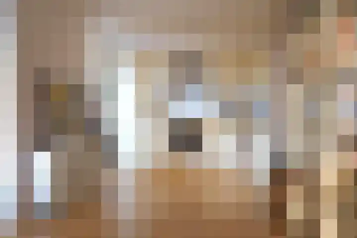 Dokter Van Ledestraat 50 Leidschendam thumbnail 9