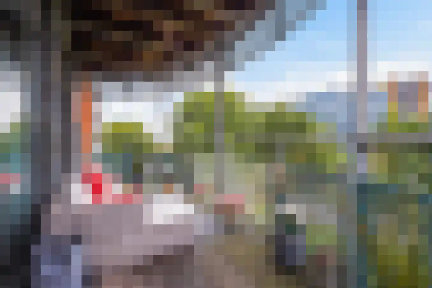 Dokter Van Ledestraat 60 Leidschendam thumbnail 17
