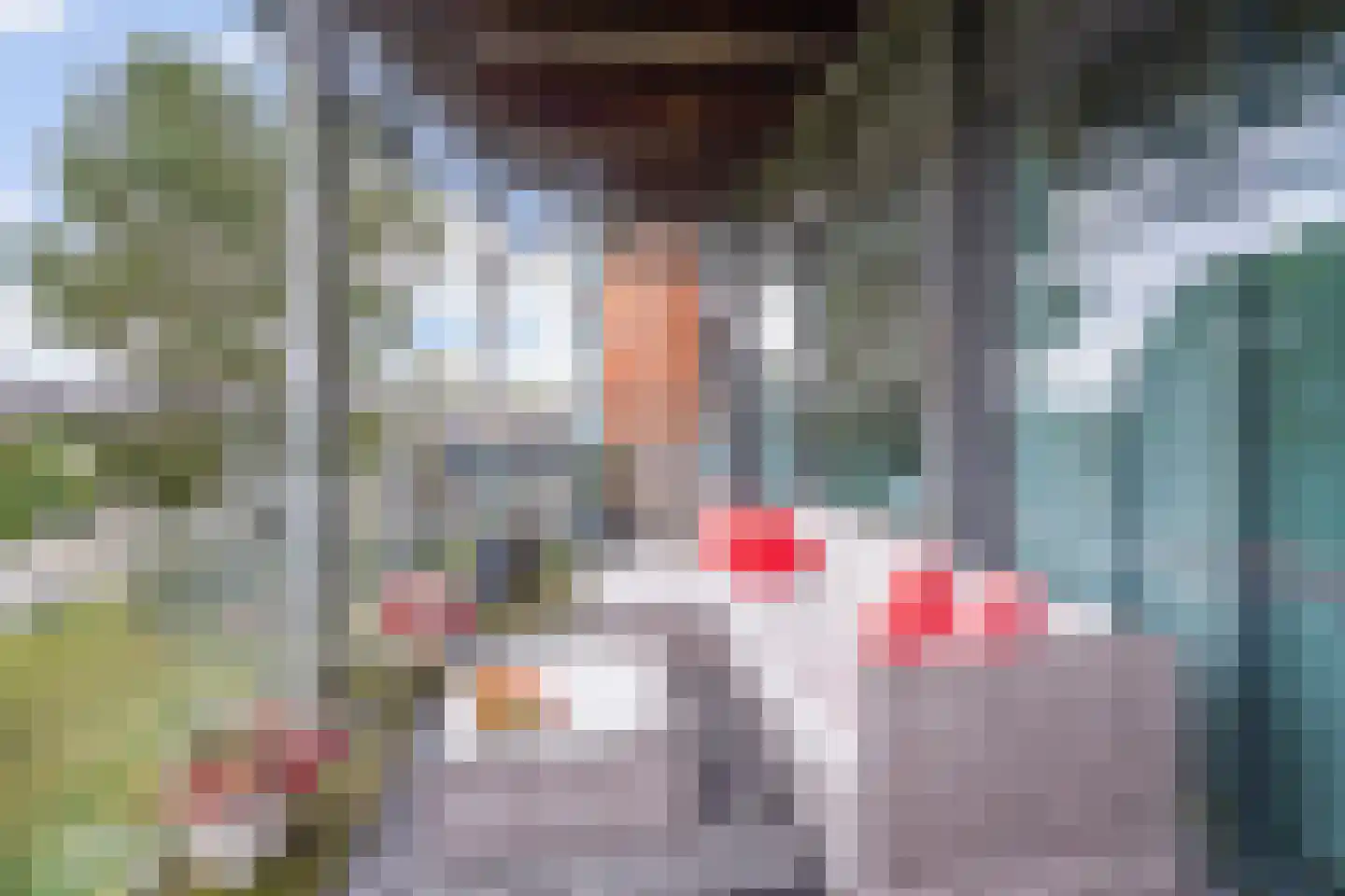 Dokter Van Ledestraat 60 Leidschendam thumbnail 18