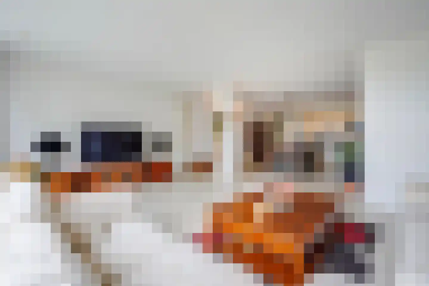 Dokter Van Ledestraat 60 Leidschendam thumbnail 21