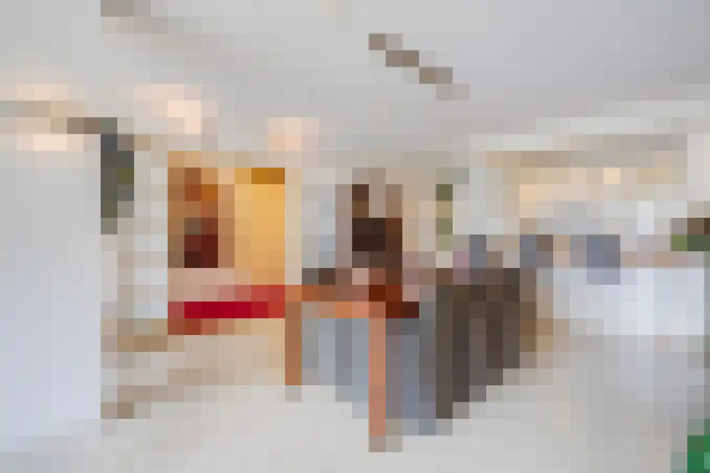 Dokter Van Ledestraat 60 Leidschendam thumbnail 23
