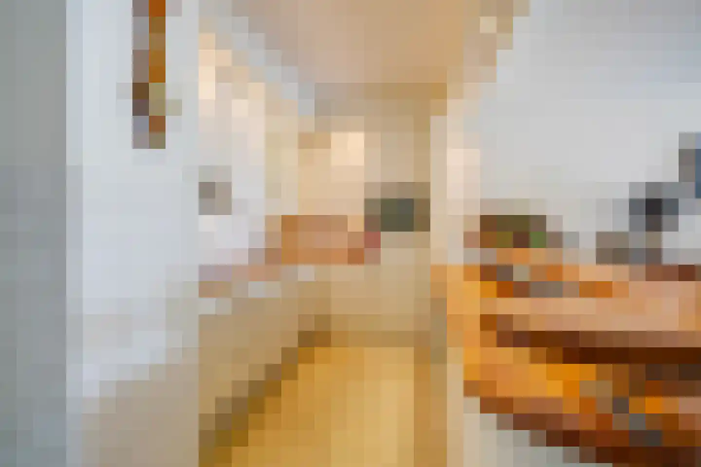 Dokter Van Ledestraat 60 Leidschendam thumbnail 27