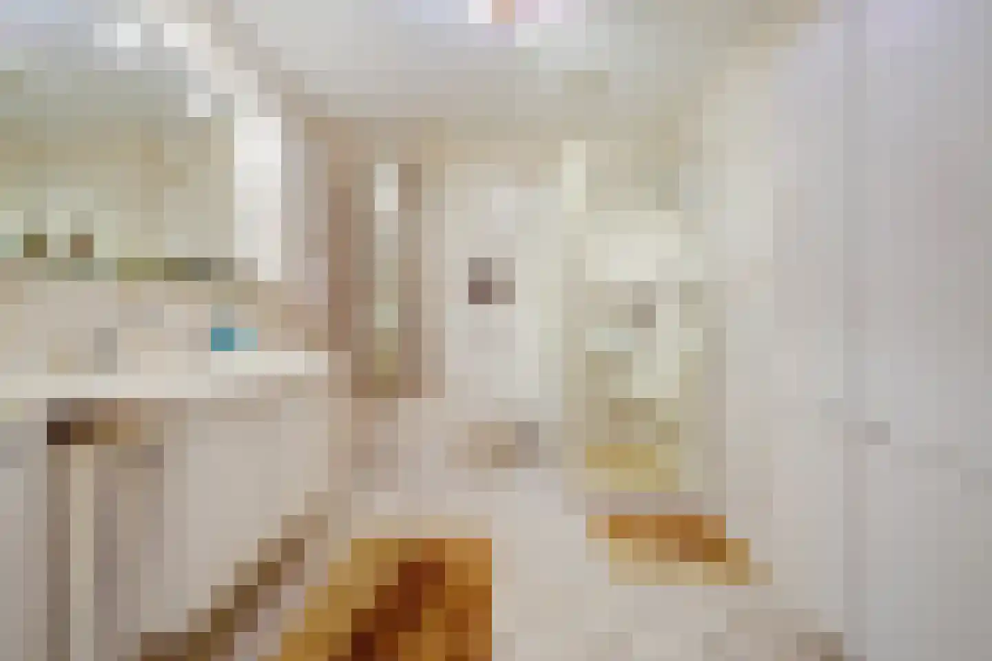 Dokter Van Ledestraat 60 Leidschendam thumbnail 32