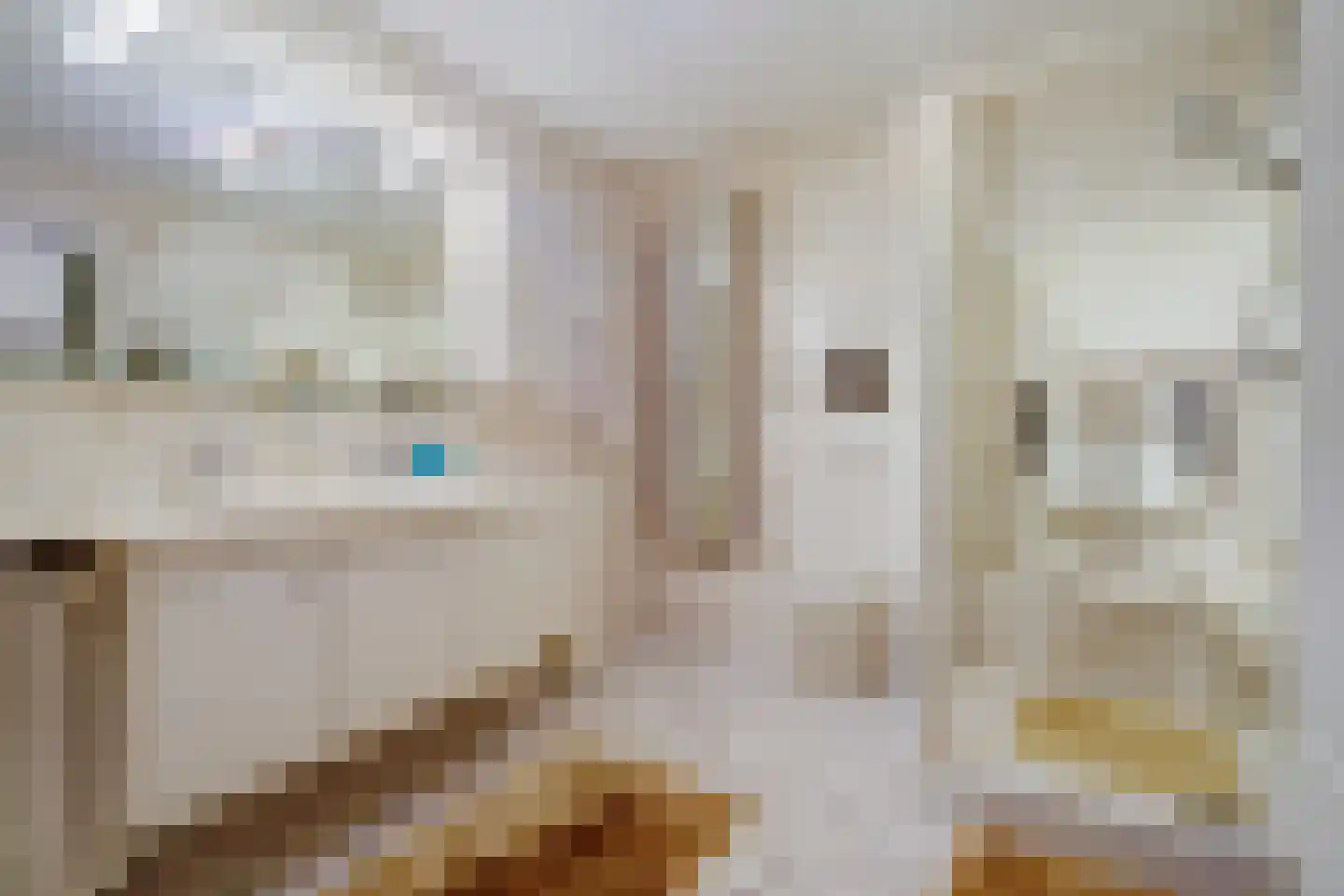 Dokter Van Ledestraat 60 Leidschendam thumbnail 33