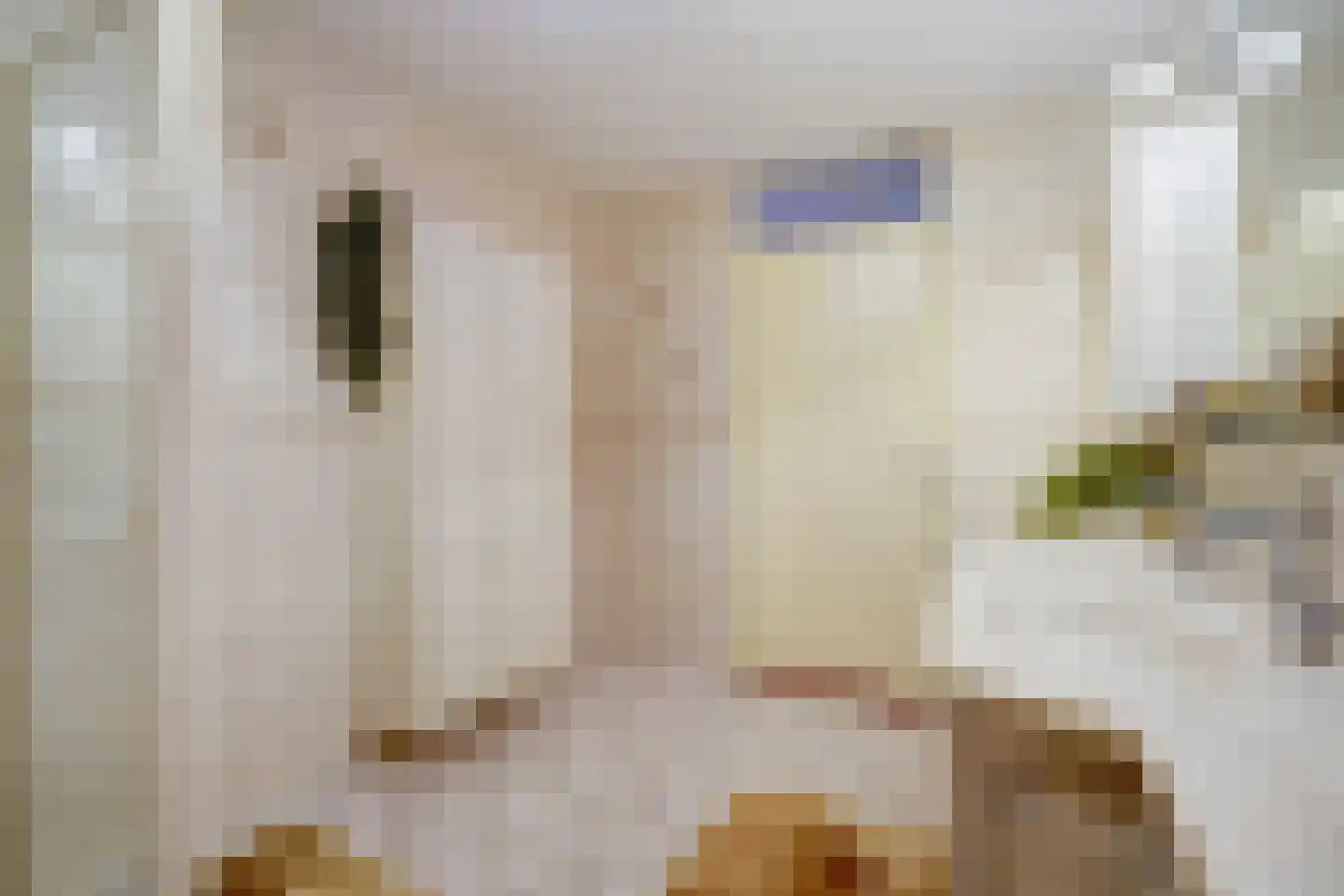 Dokter Van Ledestraat 60 Leidschendam thumbnail 35