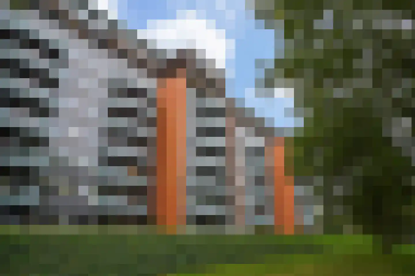 Dokter Van Ledestraat 60 Leidschendam thumbnail 50