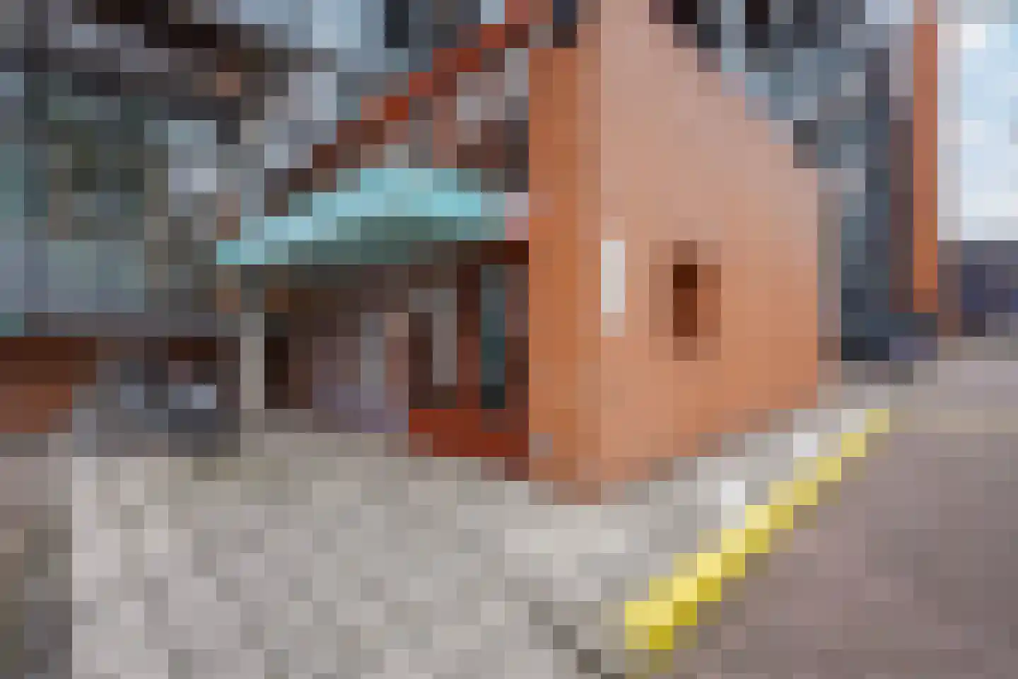 Dokter Van Ledestraat 60 Leidschendam thumbnail 7