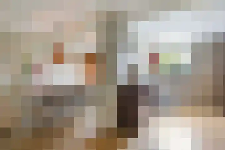Dokter van Loonweg 11 Nunspeet thumbnail 11
