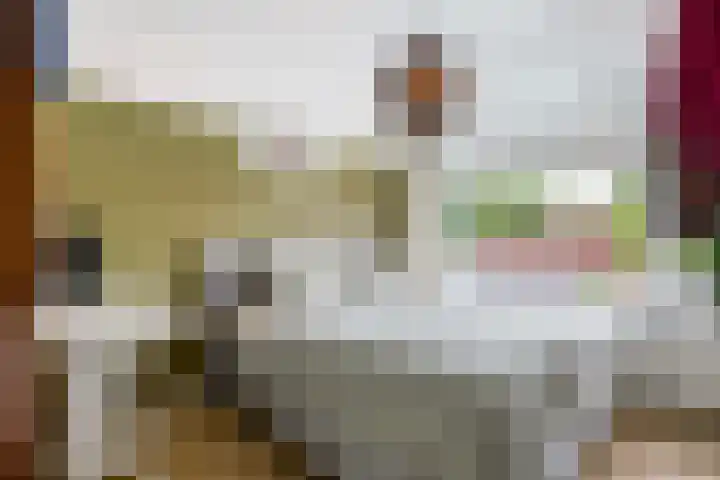 Dokter van Loonweg 11 Nunspeet thumbnail 14