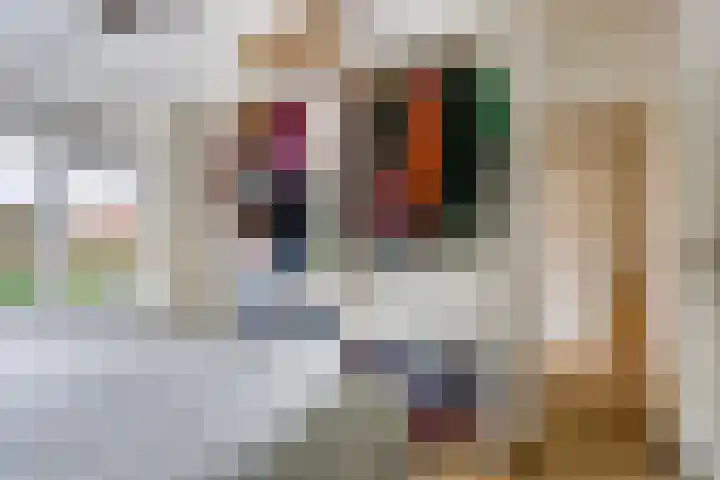 Dokter van Loonweg 11 Nunspeet thumbnail 15