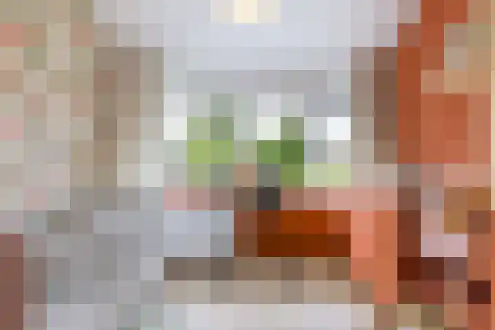 Dokter van Loonweg 11 Nunspeet thumbnail 18