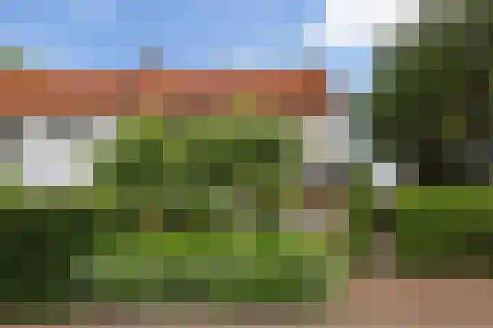 Dokter van Loonweg 11 Nunspeet foto 2