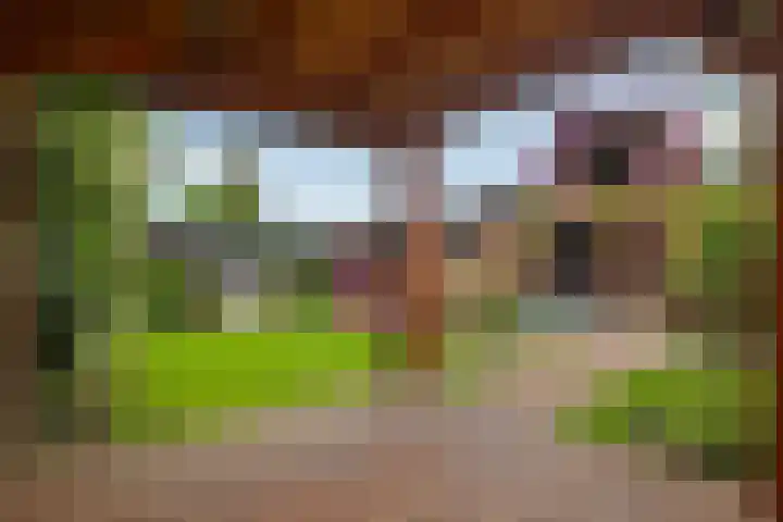 Dokter van Loonweg 11 Nunspeet thumbnail 21