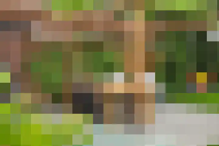 Dokter van Loonweg 11 Nunspeet thumbnail 25
