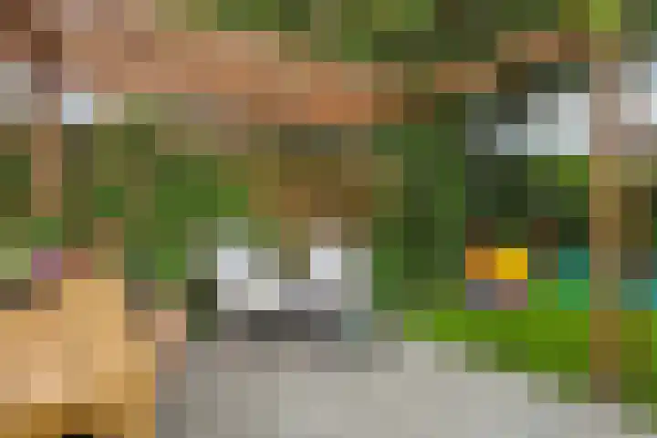 Dokter van Loonweg 11 Nunspeet thumbnail 26
